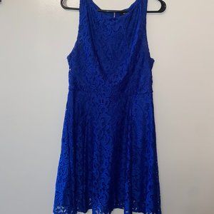 APT 9 | Royal Blue Lace Dress